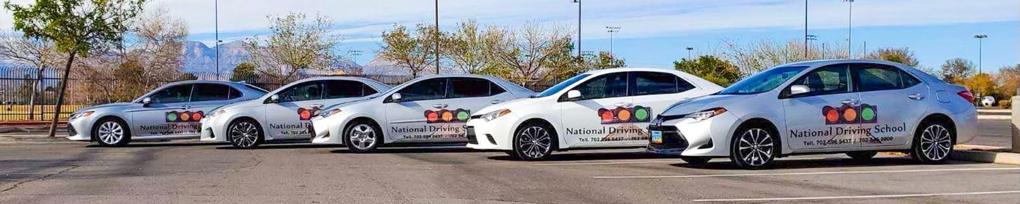 Adult Driver Ed | National Driving School